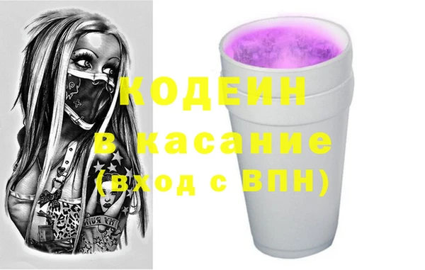 индика Горняк