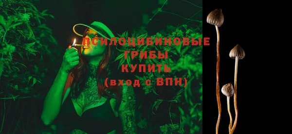 ECSTASY Богородицк