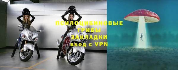 прущий лед Белокуриха
