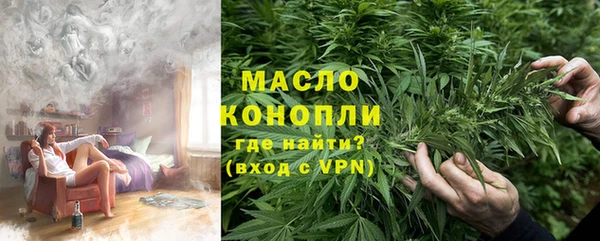 дмт Снежногорск