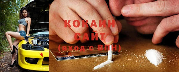 дмт Снежногорск