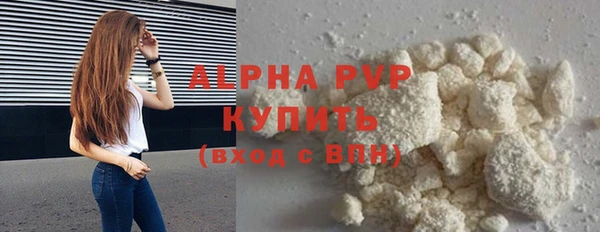 ECSTASY Богородицк