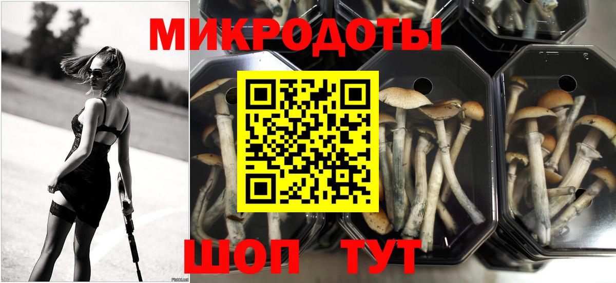 Галлюциногенные грибы Cubensis  Вход с VPN  Верхняя Пышма  купить  сайты  Псилоцибиновые грибы GOLDEN TEACHER 